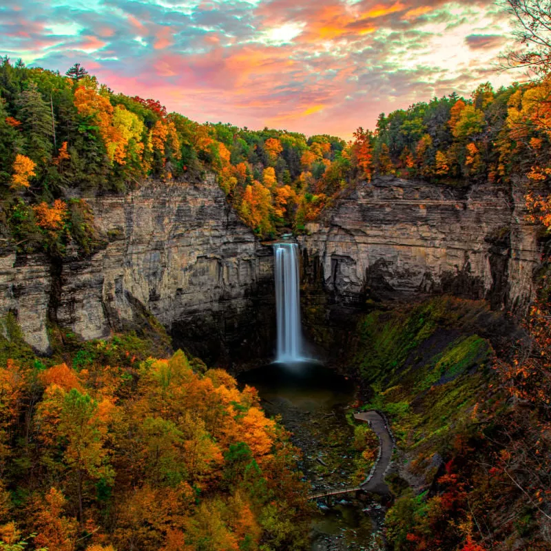 colorful forest with a waterfall