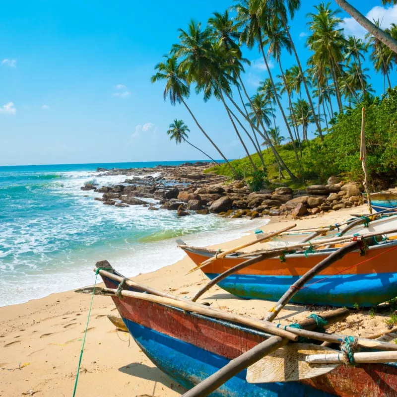 colorful fishing boats on the beach in sri lanka