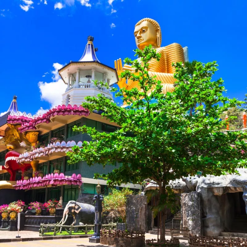 the Golden Temple of Dambulla Sri Lanka