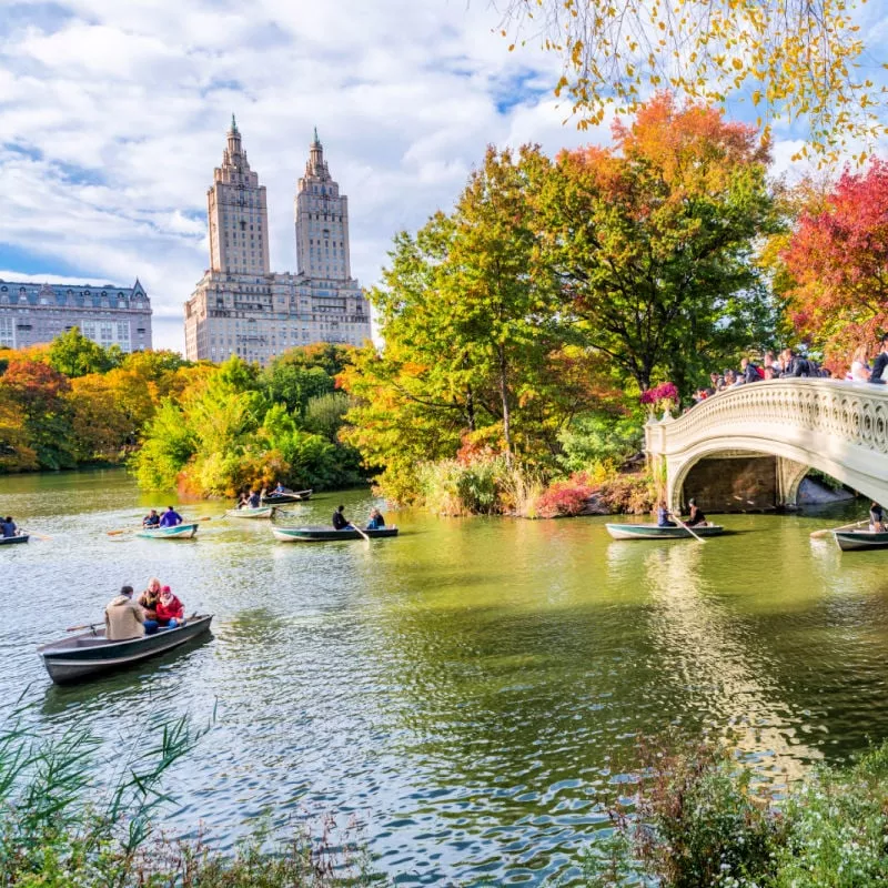 Central Park New York City Fall Foliage