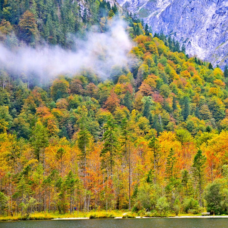 Fall in Yellowstone