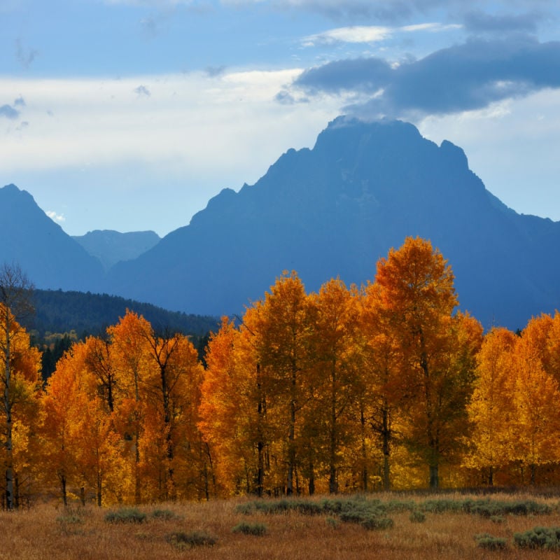 Yellowstone National Park during the fall