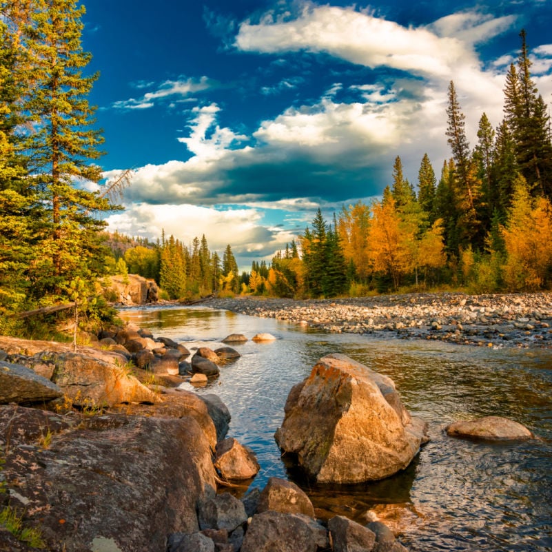 Yellowstone River Montana