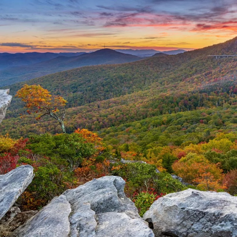 asheville nc fall foliage