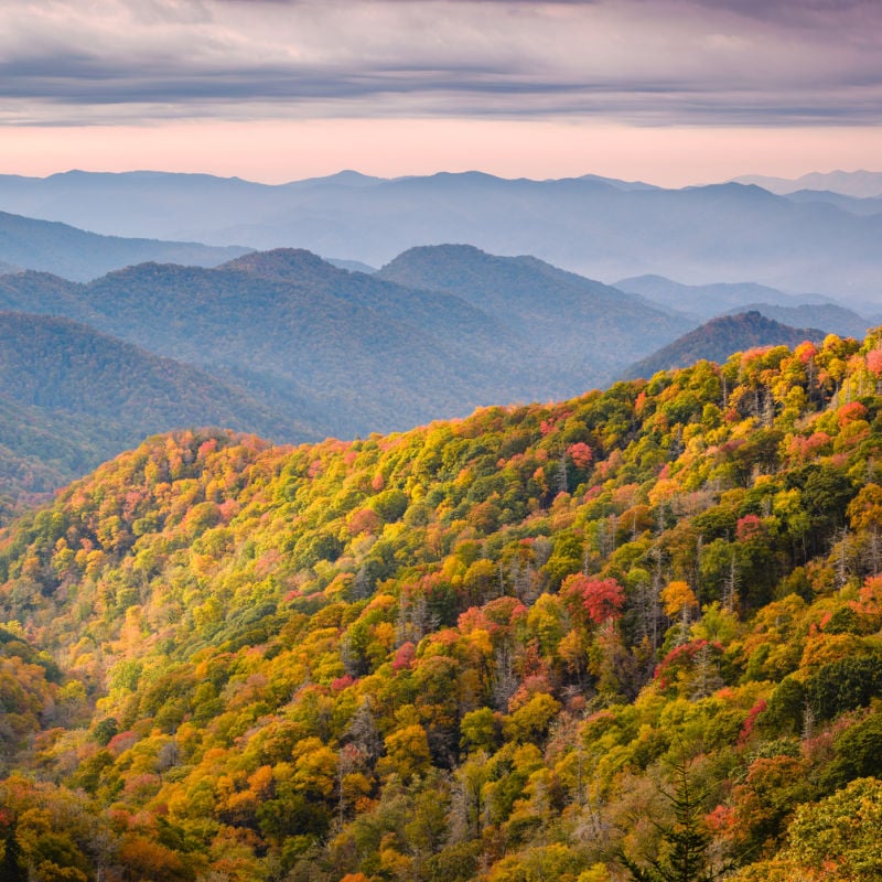 Great Smoky Mountains National Park fall foliage