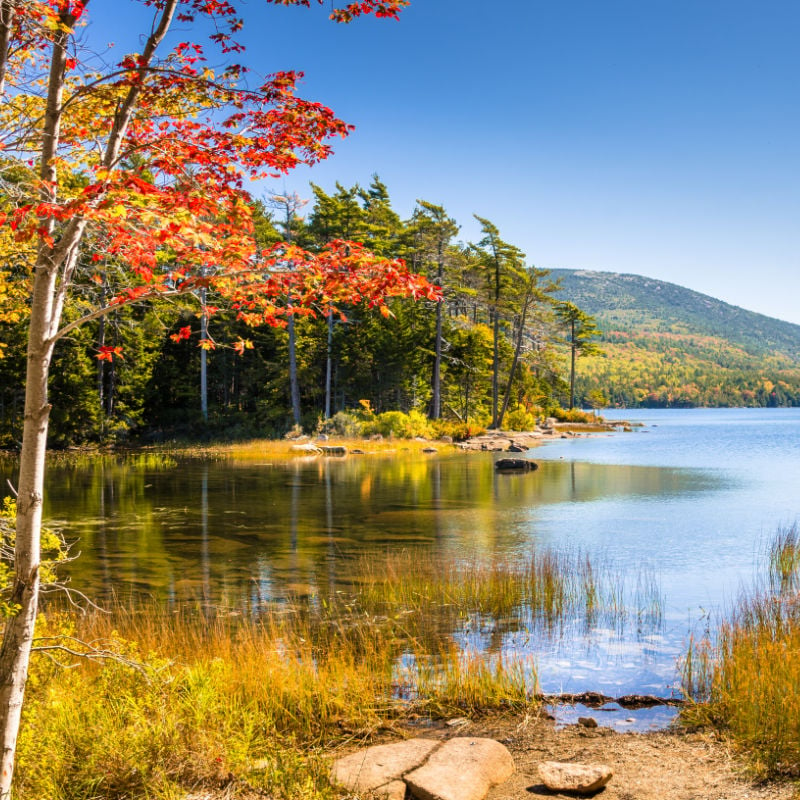 lake in acadia national park