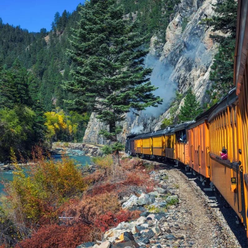 Historic steam engine train travels from Durango to Silverton through the San Juan Mountains along the Animas River in Colorado, USA. copy