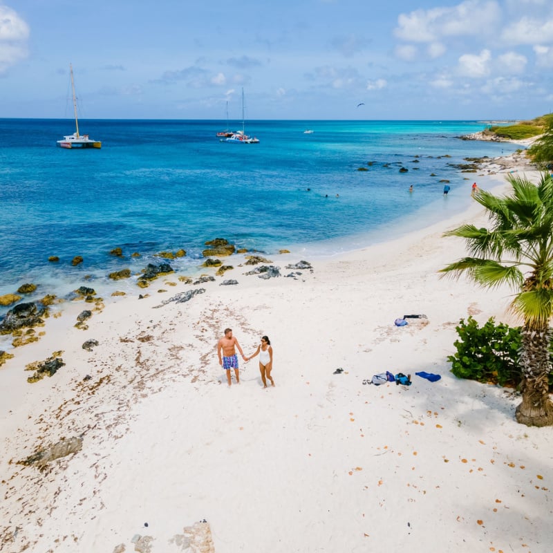 Palm Trees on the shoreline of Eagle Beach in Aruba