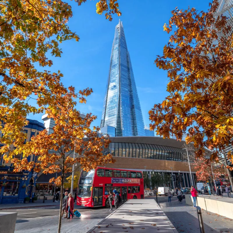 View of building and bus in London in the fall