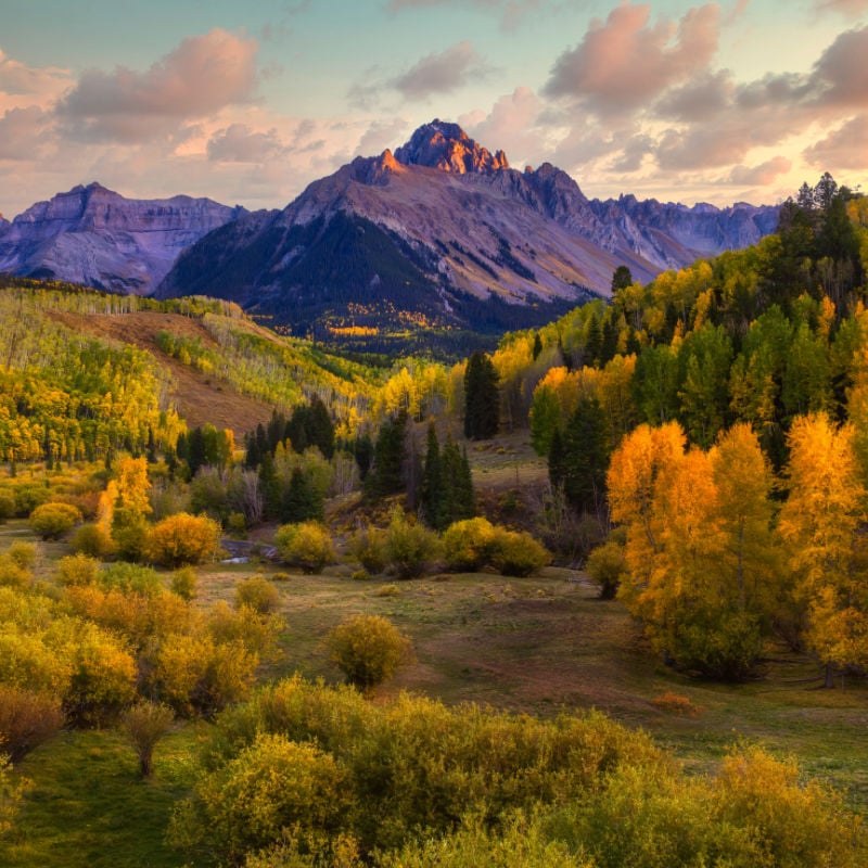 colorado foliage