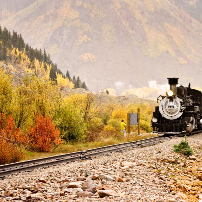 train in the fall