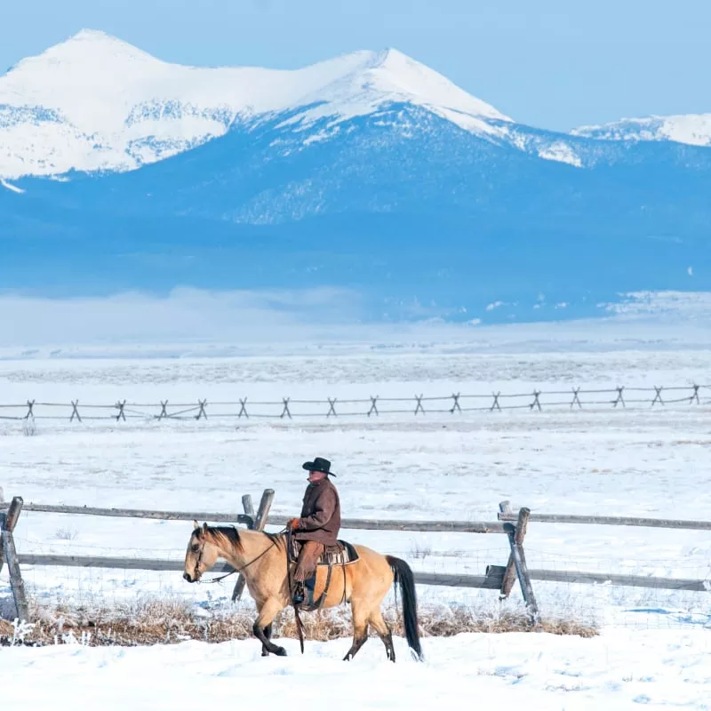 cowboy on horse in montana winter