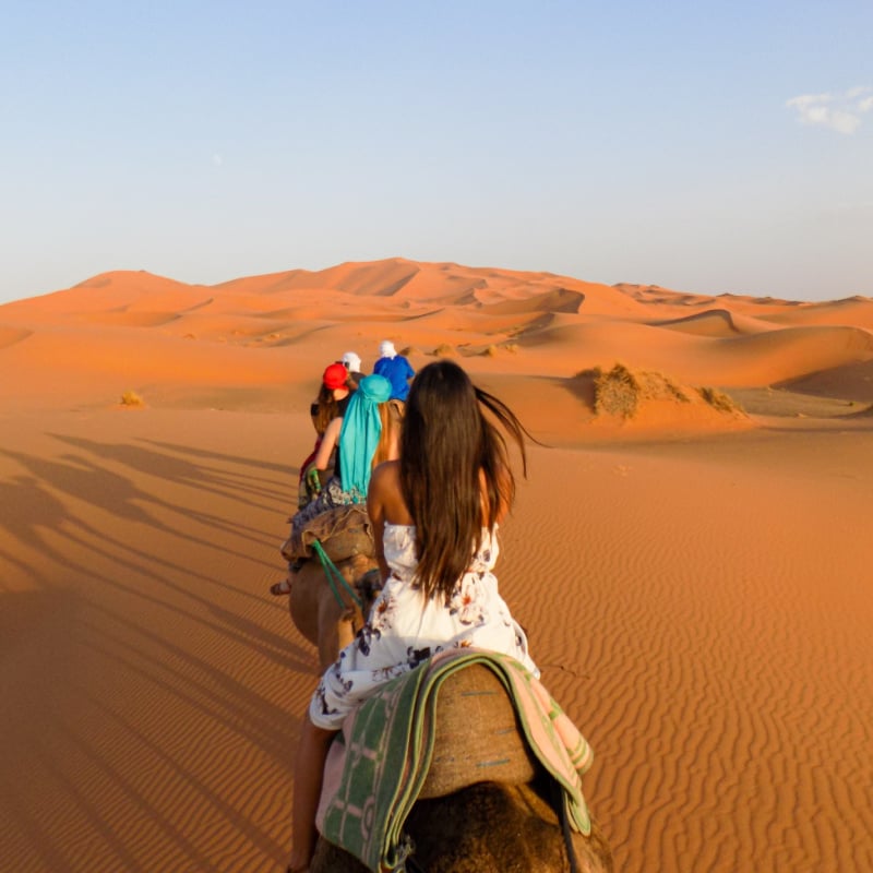 people on camels, the Sahara desert, Morocco