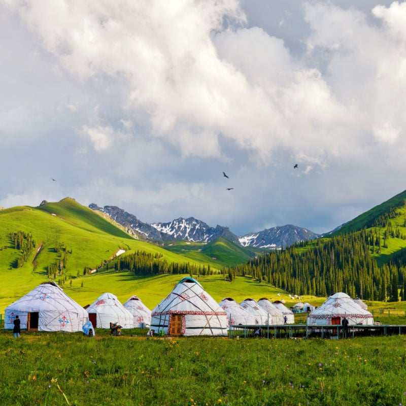 yurts in Mongolia