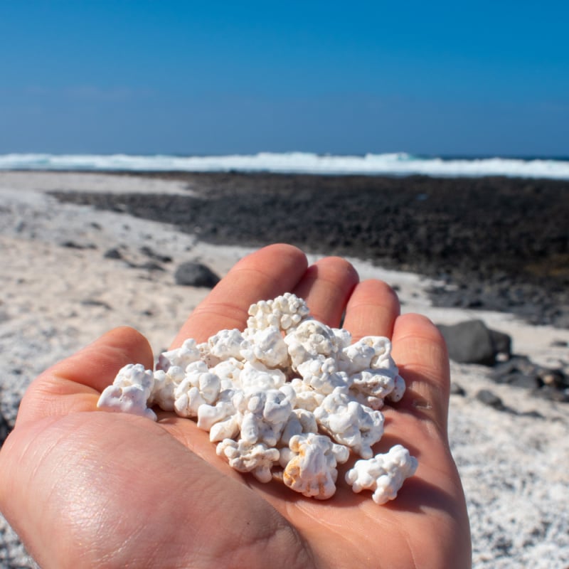 Popcorn Beach in Corralejo, Fuerteventura, Canary Islands, Spain.