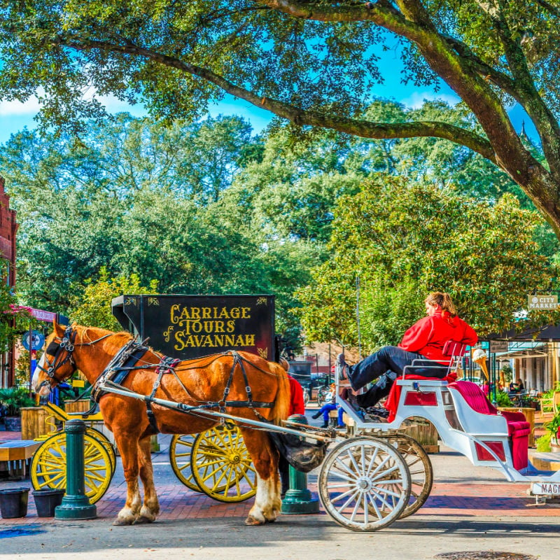 horse drawn carriage in georgia