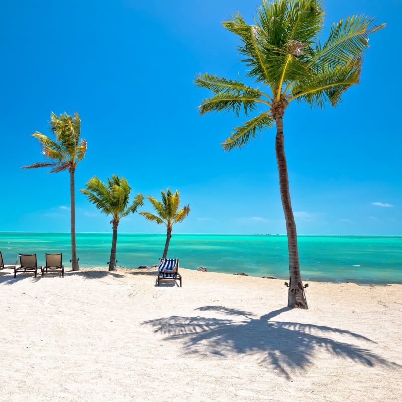 beach in islamorada florida keys