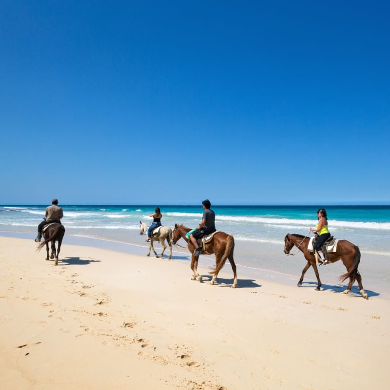 horse riding on a beach in punta cana