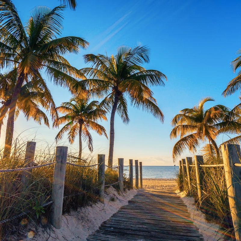 Palm trees at the beach in Key West, Florida