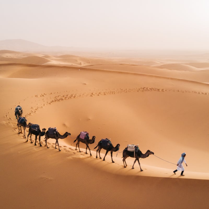 trekking with camels in the Merzouga Desert morocco