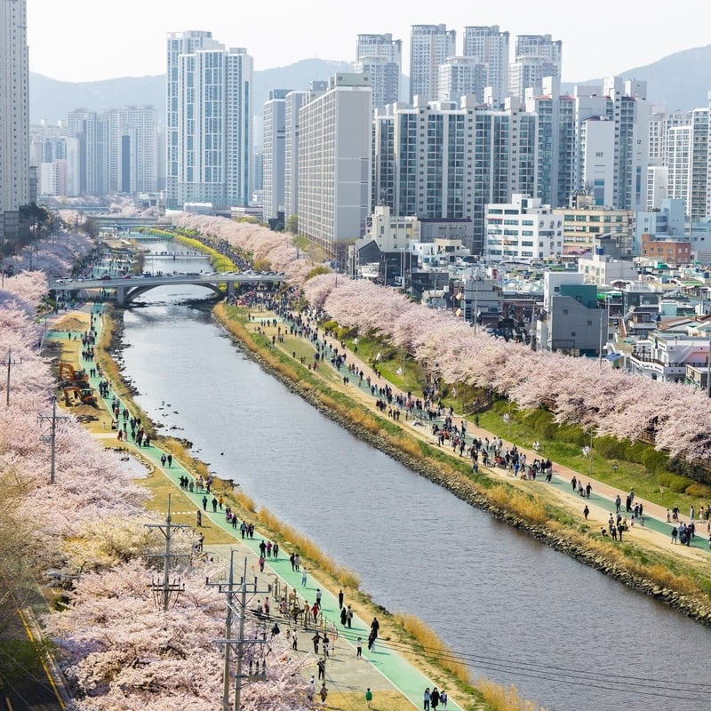 The Dongnae Hot Spring In Busan, South Korea, East Asia