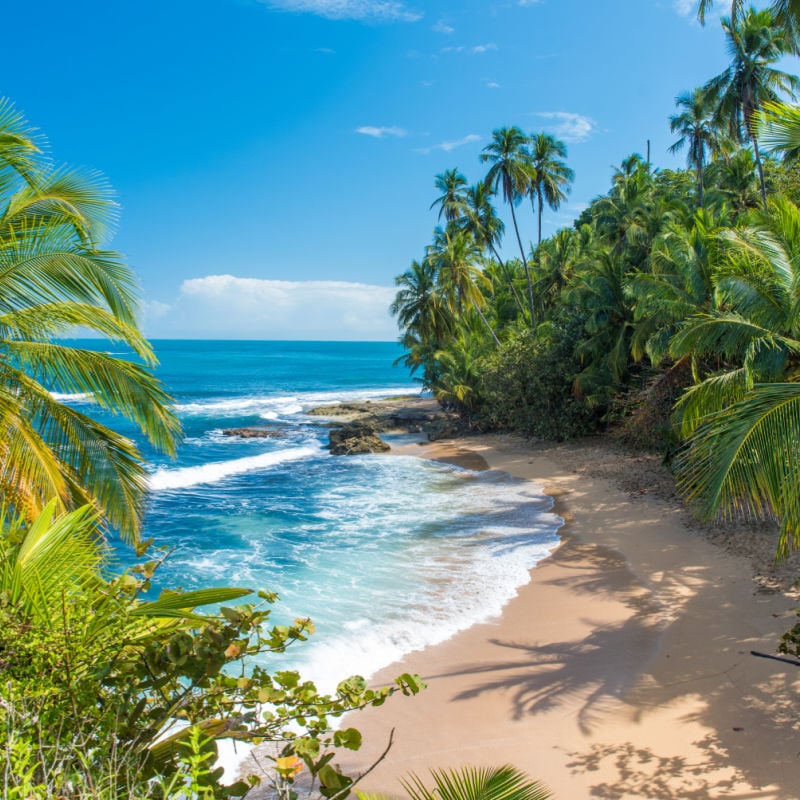 Wild caribbean beach of Manzanillo at Puerto Viejo, Costa Rica