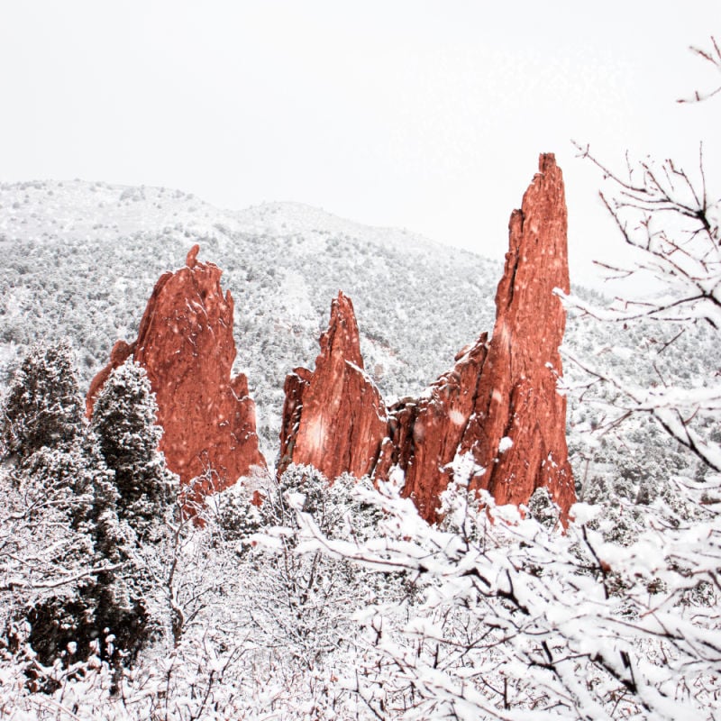 the red rocks of garden of the gods in colorado springs in winter