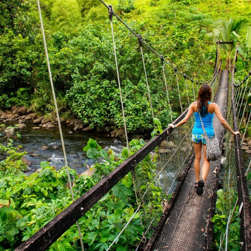 Young woman walking on suspension bridge over Wainibau stream, Lavena Coastal Walk, Taveuni Island, Fiji.