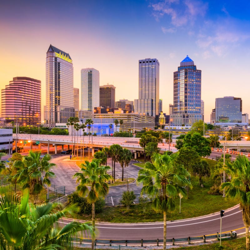 tampa florida skyline