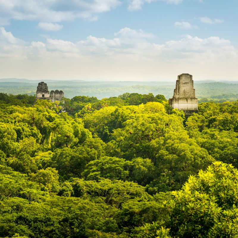 tikal maya ruins in the rainforest in guatemala