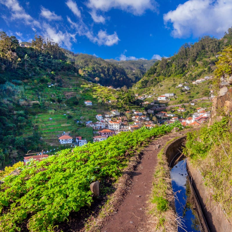 Walking Trail In Madeira, Portugal