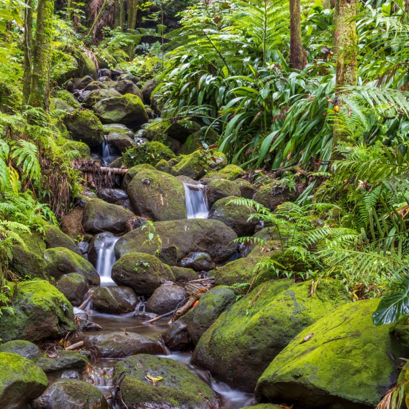 hawaii waterfall