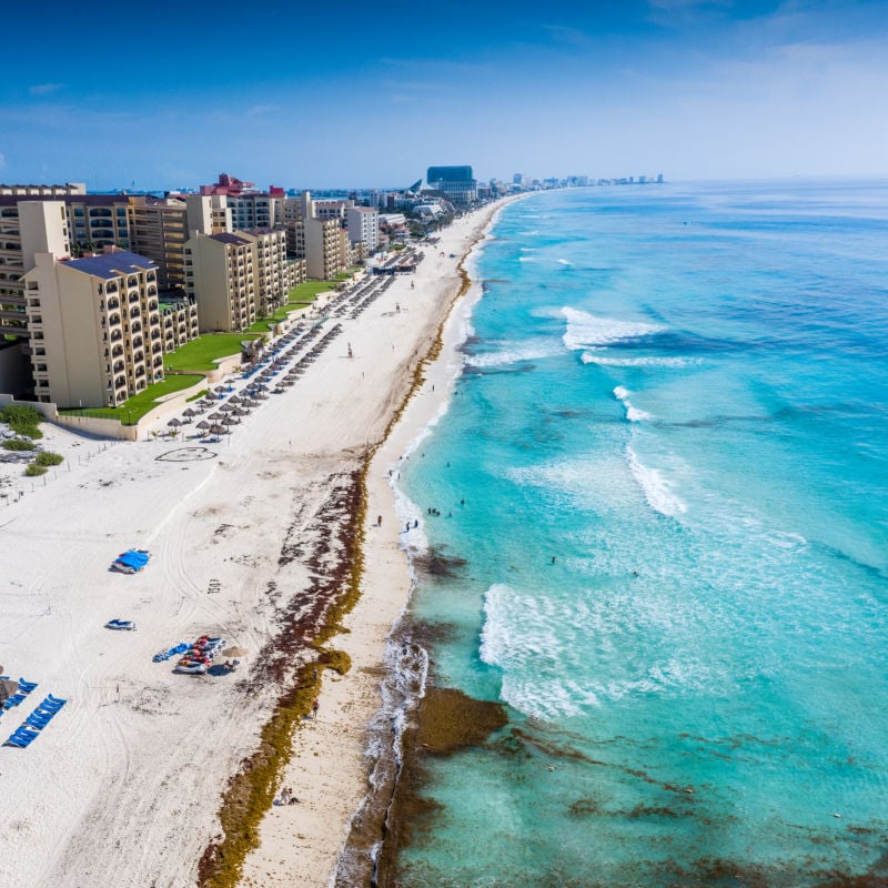 cancun beach lined with piles of sargassum