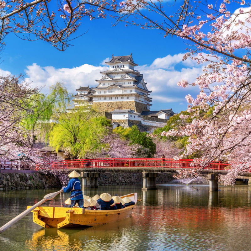 castle-and-boat-on-river-with-cherry-blossoms-in-Japan