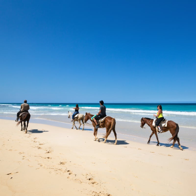 horseback riding in Punta Cana