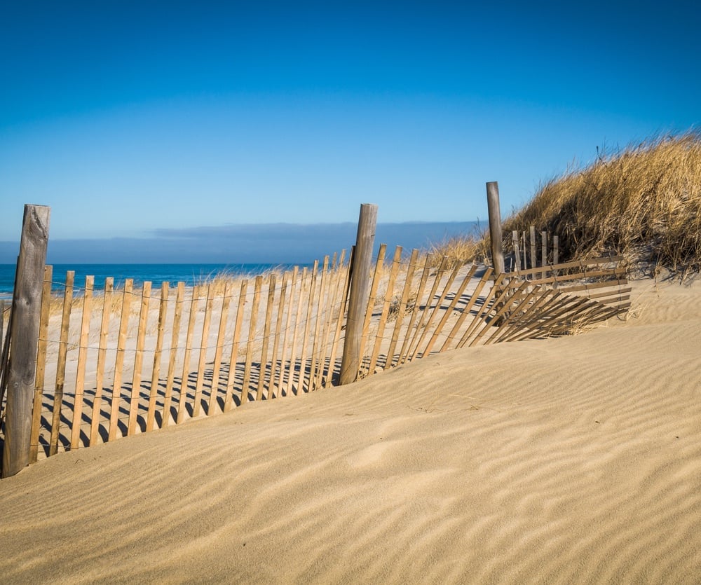 Beach in Cape Cod