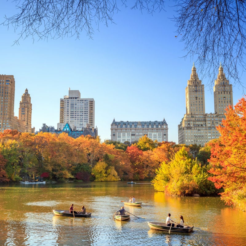 Central Park In Autumn