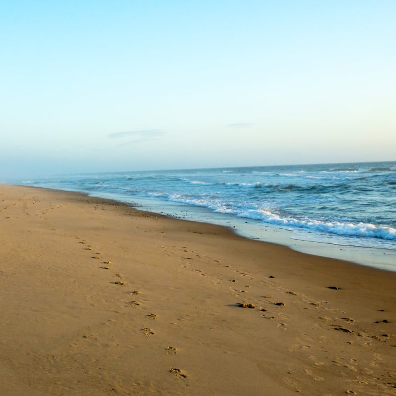 Coast Guard Beach in Cape Cod