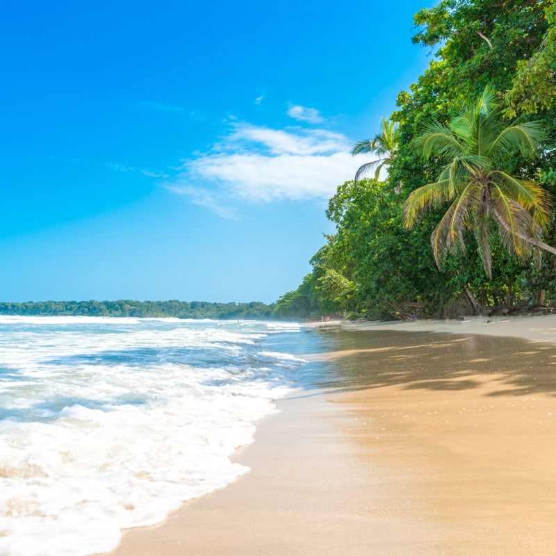 pristine beach in Cahuita National Park