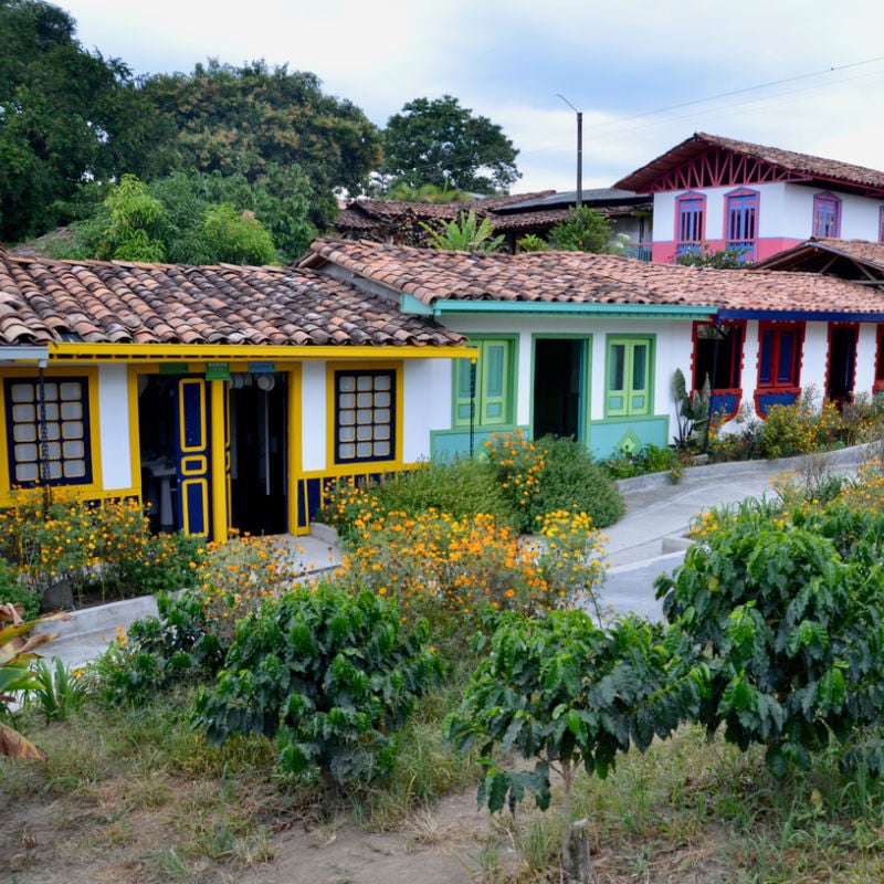 Colorful homes on coffee farm - Armenia, Colombia