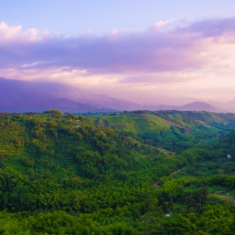 Lush green valley in Armenia, Colombia