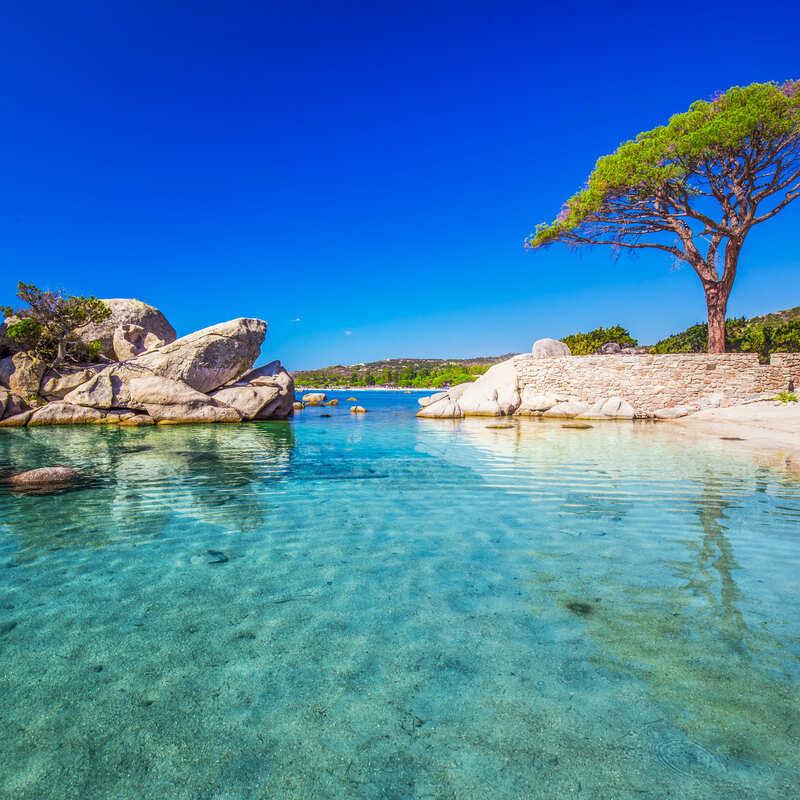 Palombaggia Beach In Corsica, France, Bounded By The Crystal Clear Waters Of The Mediterranean Sea In Southern Europe