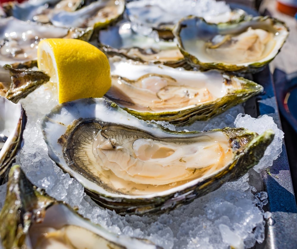 Plate of oysters