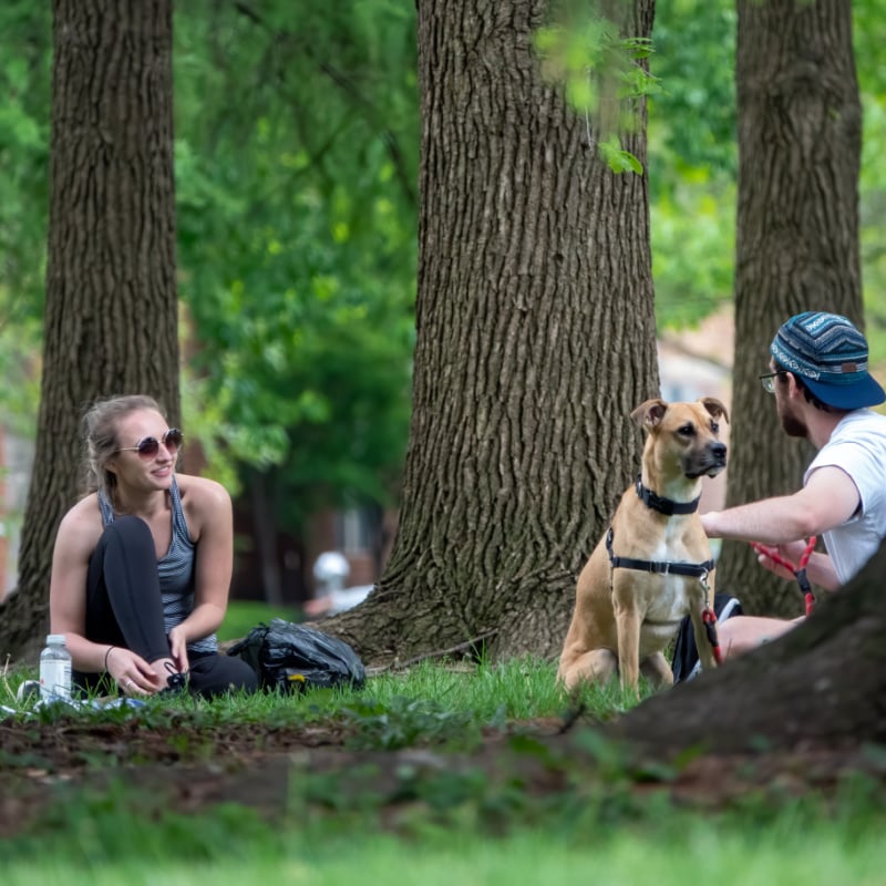 People on a park in Columbus, Ohio