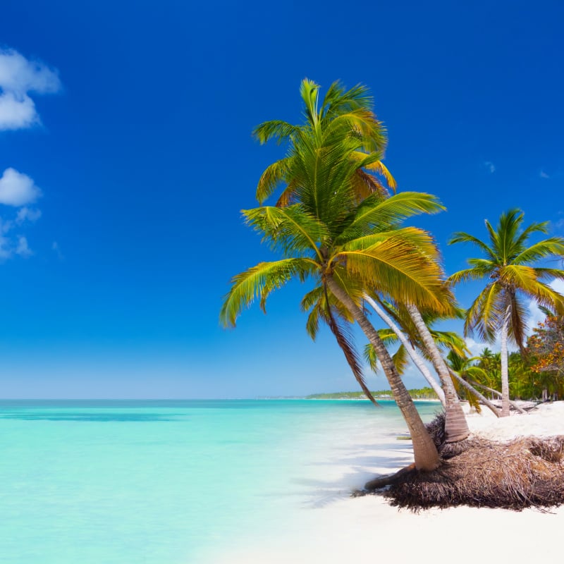 Wild beach in Punta Cana