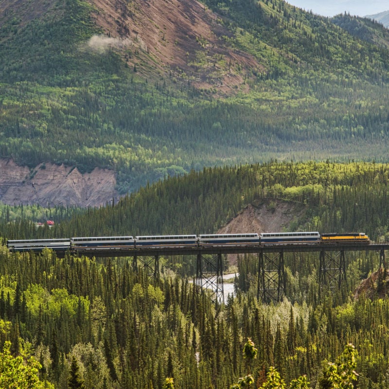 Alaska train near Denali