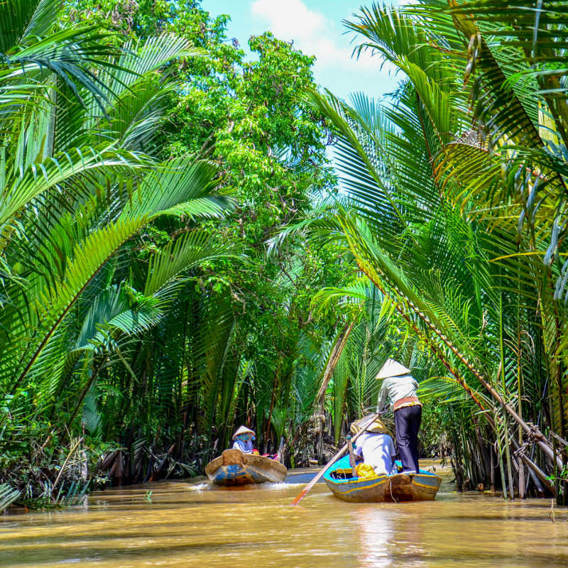 Boats paddling through trees in the Mekong Delta