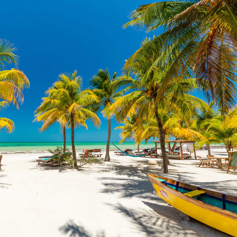 Row Of Beachfront Palm Trees In Isla Holbox With A Turquoise Sea, Quintana Roo, Mexico