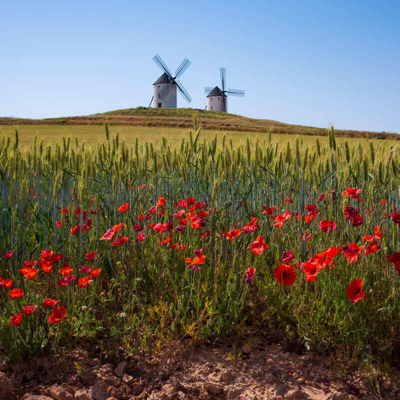 Windmills Of Castilla La Mancha, Spain, Southern Europe