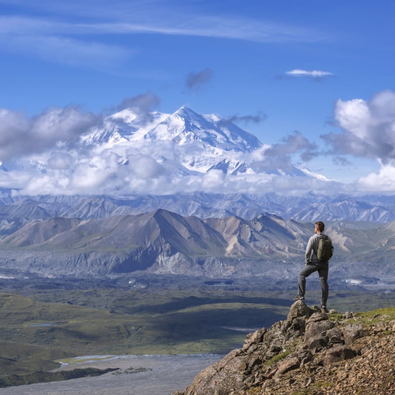 Hiker at denali national park